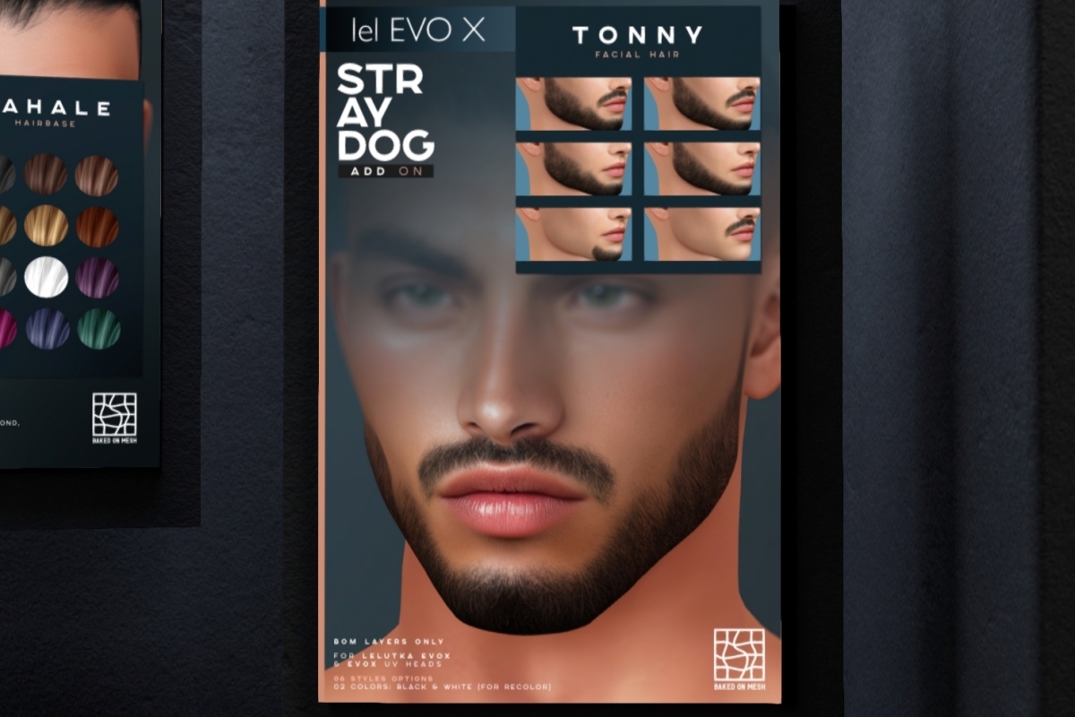 STRAY-DOG2_001
