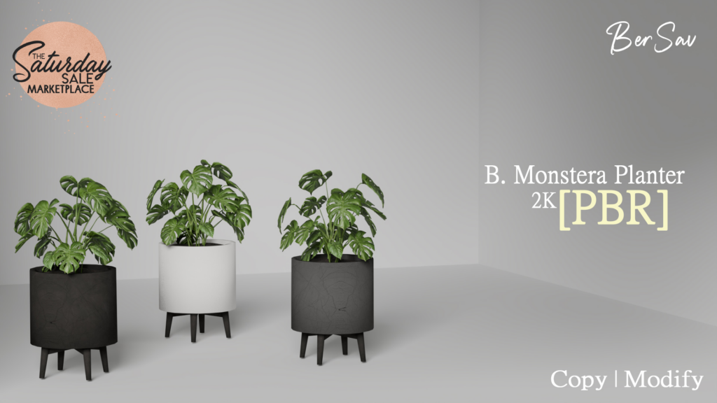 Monstera Planter Fatpack