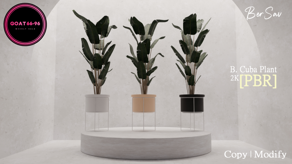 B. Cuba Plant Decoration