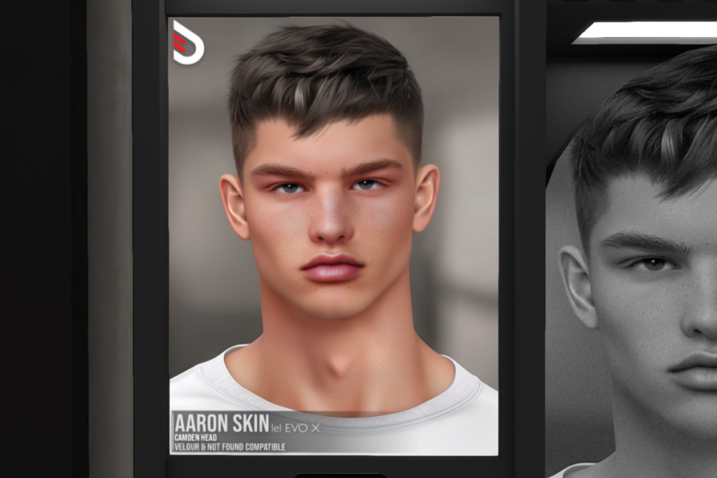 Aaron Skin - EvoX, L$699 each/L$1299 FP