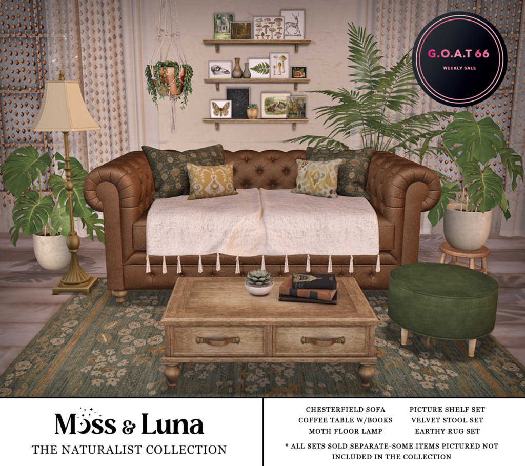 Naturalist Decor Collection