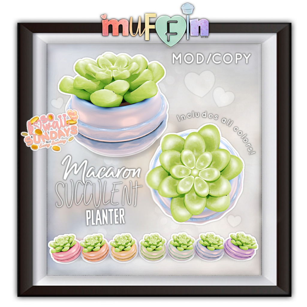 Macaron Succulent Planter