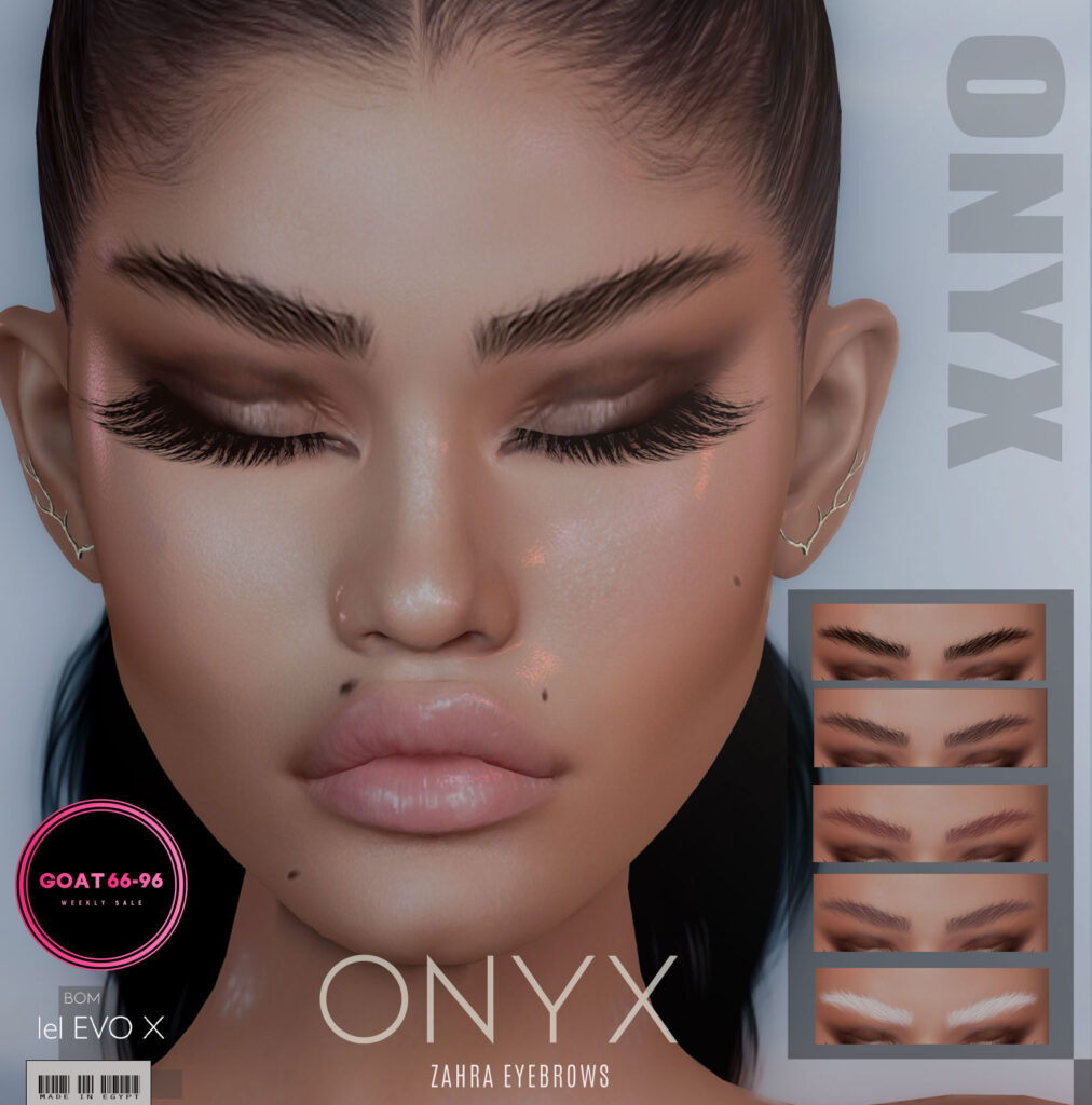 Zahra Eyebrows - EvoX