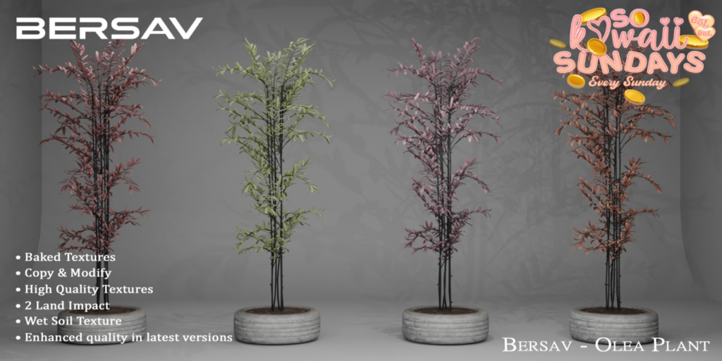 Olea Plant Decor	&lt;a href=&quot;http://maps.secondlife.com/secondlife/Alyssum%20Island/73/224/2002&quot;&gt;Teleport&lt;/a&gt;