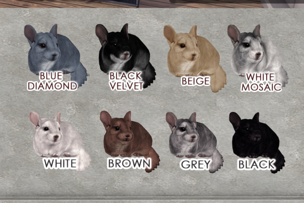 Chincilla	&lt;a href=&quot;http://maps.secondlife.com/secondlife/Jian/236/242/24&quot; target=&quot;_blank&quot;&gt;Teleport&lt;/a&gt;
