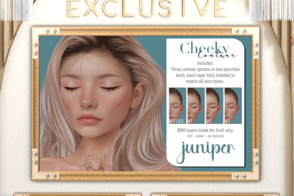 Cheeky Contour - Evo X, L$195