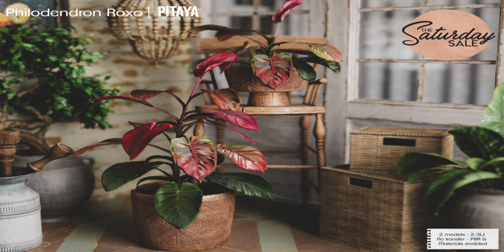 Philodendron Roxo Decor	&lt;a href=&quot;http://maps.secondlife.com/secondlife/Atelier/57/83/23&quot;&gt;Teleport&lt;/a&gt;