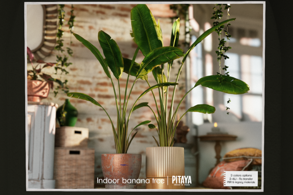Indoor Banana Tree, L$175 each/L$320 FP