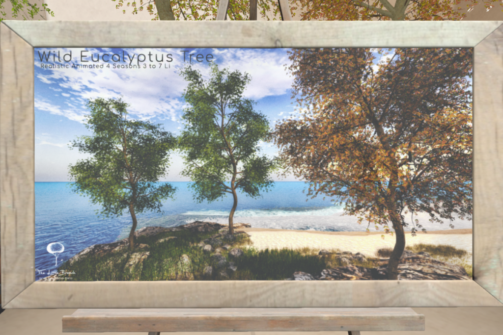 Wild Eucalyptus Tree, L$386