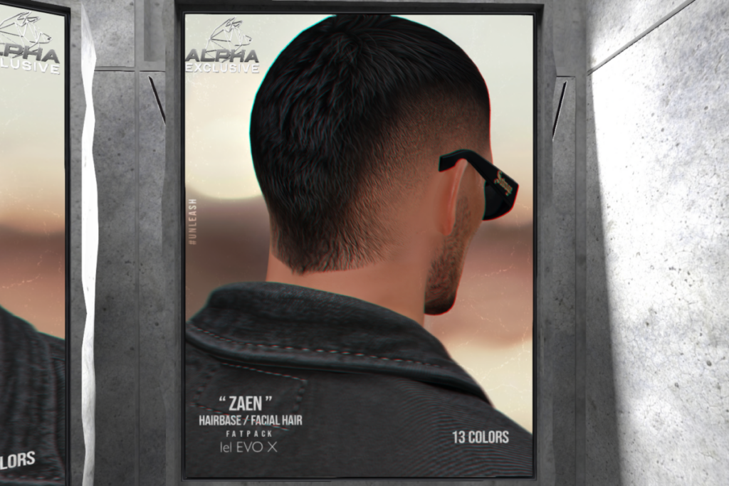 Zaen Hairbase - EvoX, L$300