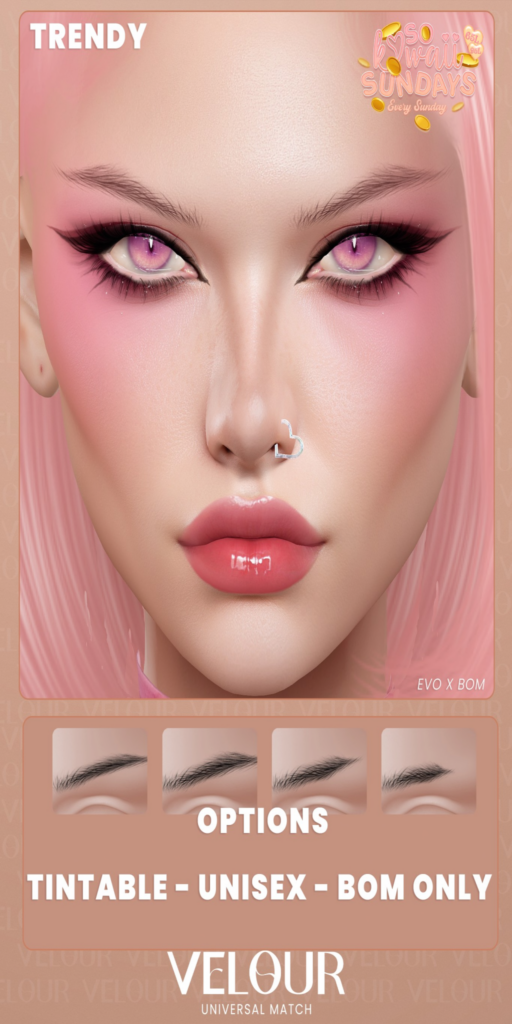 Trendy Eyebrows - EvoX	&lt;a href=&quot;https://maps.secondlife.com/secondlife/VELOUR/88/118/42&quot;&gt;Teleport&lt;/a&gt;