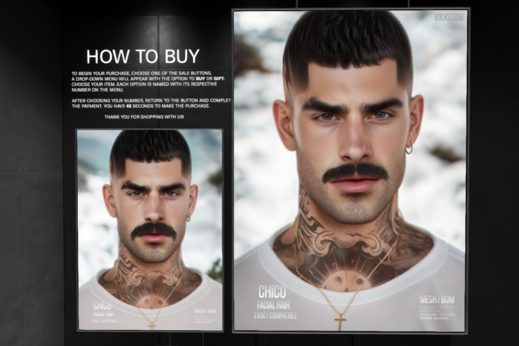Chico Facial Hair - EvoX, L$190