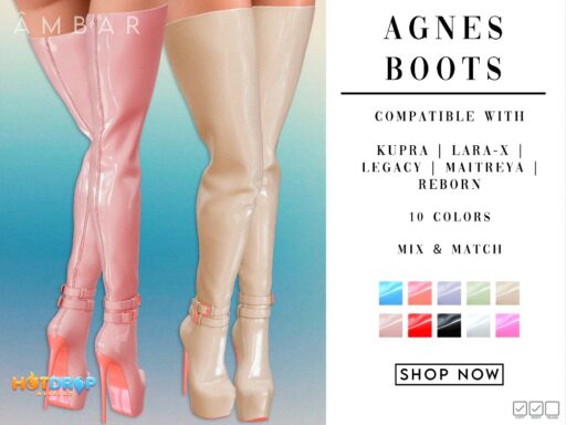 Anges Boots - Inithium/Legacy/MaitreyaX/Reborn