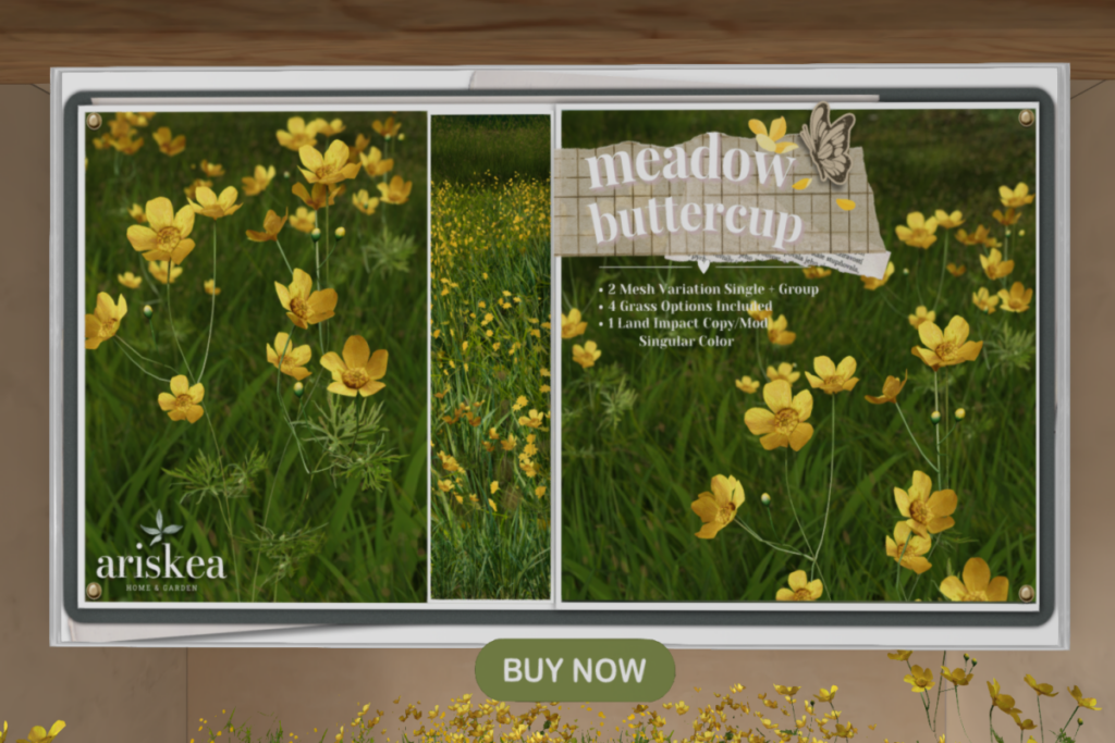 Buttercup Set, L$399