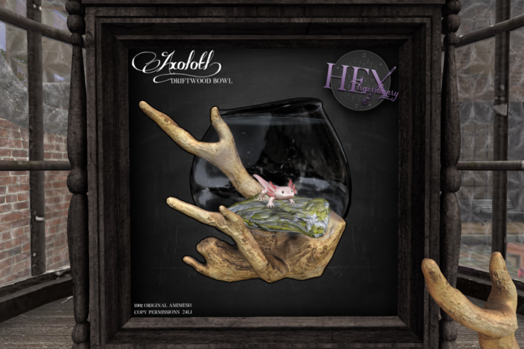 Axolotl Driftwood	&lt;a href=&quot;http://maps.secondlife.com/secondlife/Old%20Salem/28/153/26&quot;&gt;Teleport&lt;/a&gt;