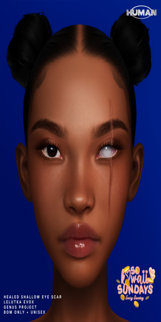 Healed Shallow Eye Scar - EvoX/Genus	&lt;a href=&quot;http://maps.secondlife.com/secondlife/Summer%20Sun/122/168/2502&quot;&gt;Teleport&lt;/a&gt;