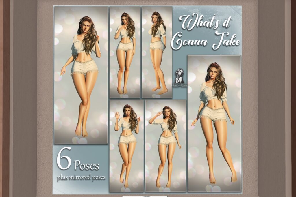 What&#039;s It Gonna Take Poses, L$299