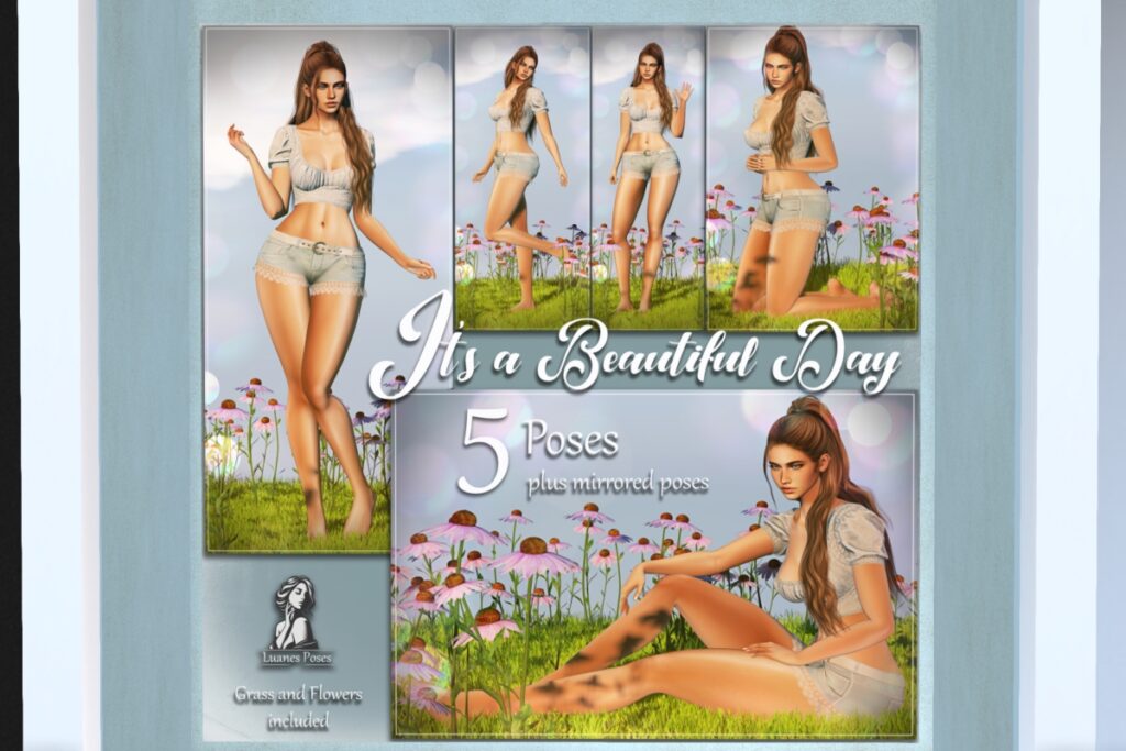 It&#039;s A Beautiful Day Poses &amp; Props, L$299 FP