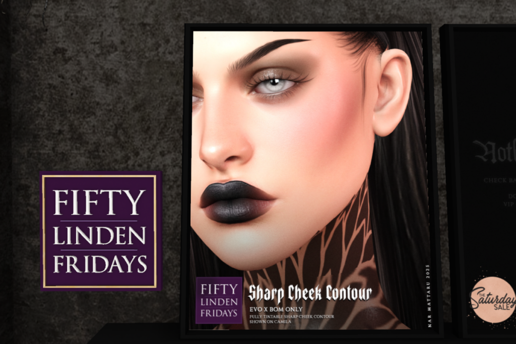 Sharp Cheek Contour - EvoX	&lt;a href=&quot;http://maps.secondlife.com/secondlife/Nocturnal%20Collective/120/126/29&quot; target=&quot;_blank&quot;&gt;Teleport&lt;/a&gt;