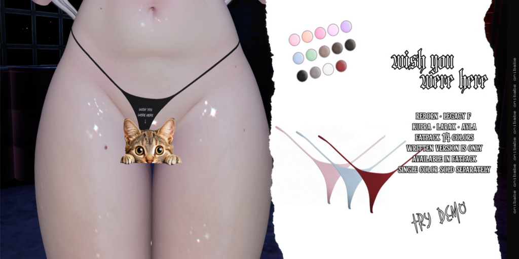 Wish You Were Here Panties - Ayla/Inithium/Legacy/MaitreyaX/Reborn	&lt;a href=&quot;https://maps.secondlife.com/secondlife/Demon/242/93/22&quot;&gt;Teleport&lt;/a&gt;
