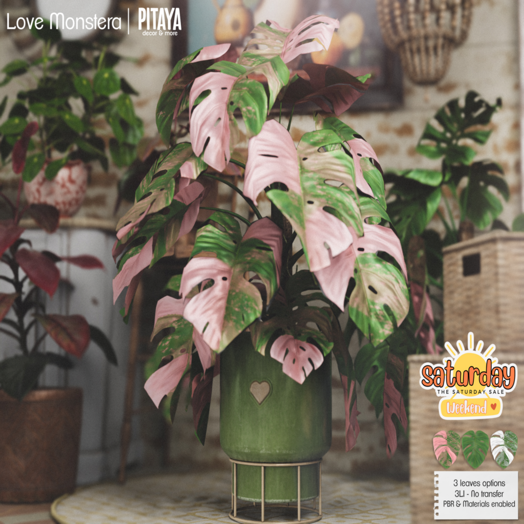 Love Monstera Plant	&lt;a href=&quot;http://maps.secondlife.com/secondlife/Atelier/57/83/20&quot;&gt;Teleport&lt;/a&gt;