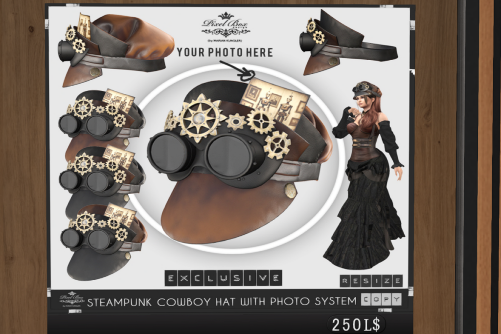 Steampunk Victorian Hat w/Photo System, L$250