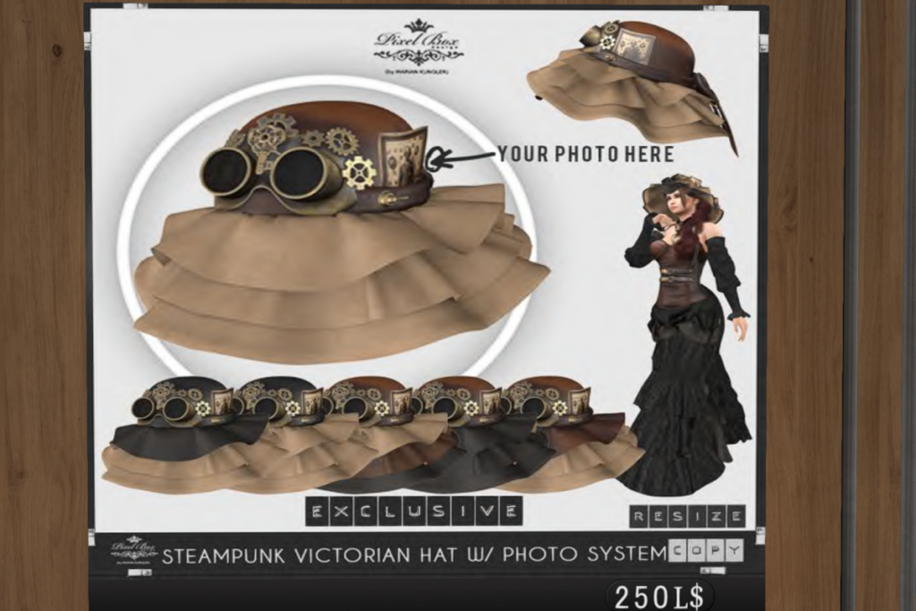 Steampunk Cowboy Hat w/Photo System, L$250