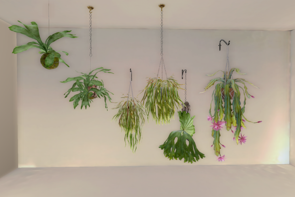 Hanging Plants, L$169-L$219 each/L$829 FP