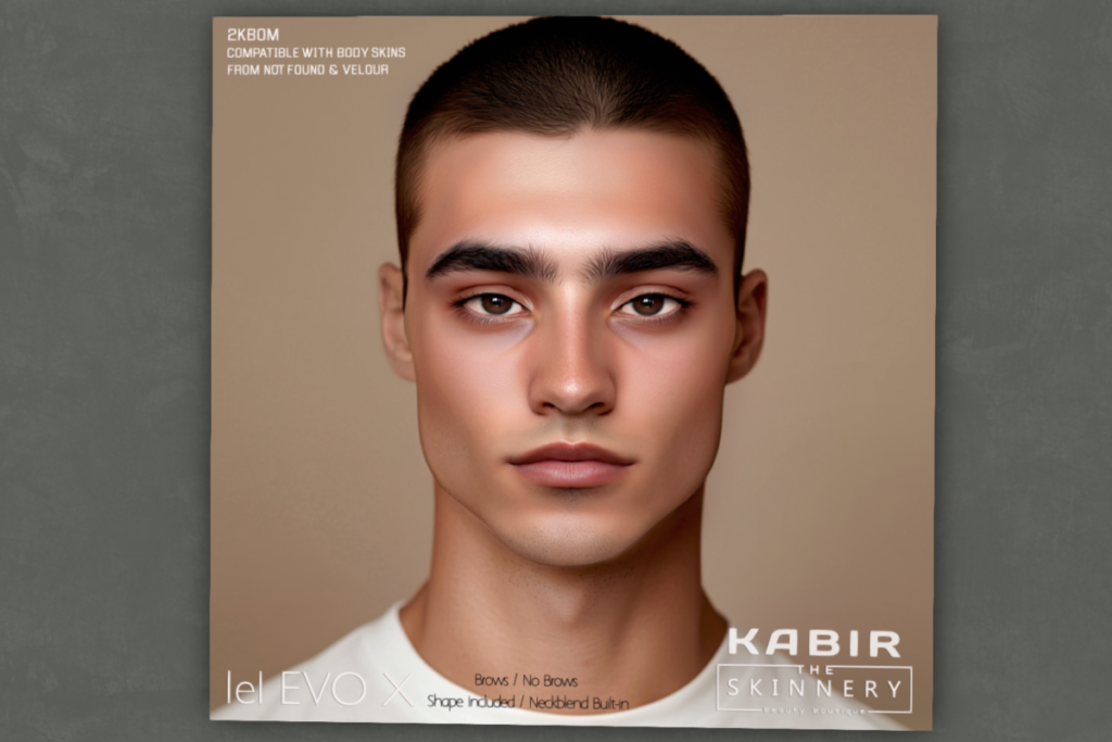 Kabir Skin - EvoX, L$775 each