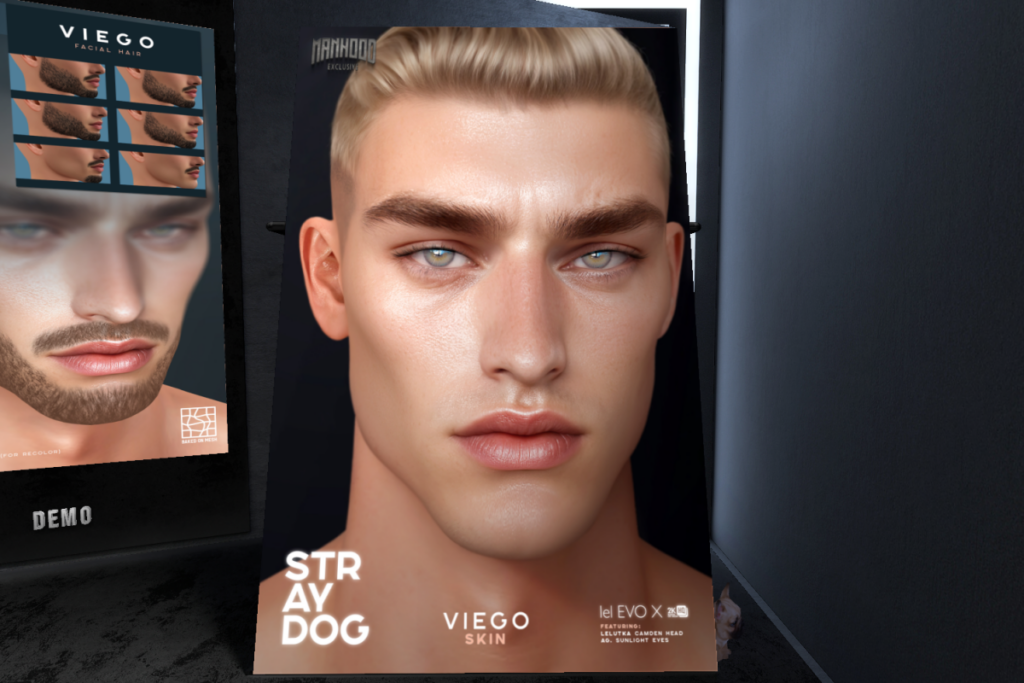 Viego Skin - EvoX, L$590 each