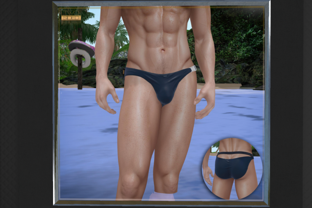 Swim Briefs - No fits listed, L$249 each/L$599 FP