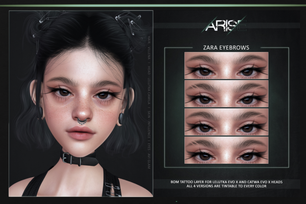 Zara Eyebrows - CatwaX/EvoX, L$249