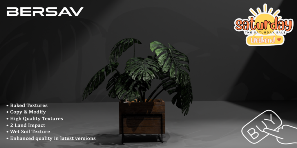 Monstera Plant	&lt;a href=&quot;http://maps.secondlife.com/secondlife/Alyssum%20Island/77/192/22&quot;&gt;Teleport&lt;/a&gt;
