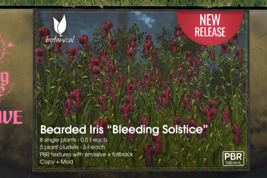 Bleeding Solstice Bearded Iris, L$425