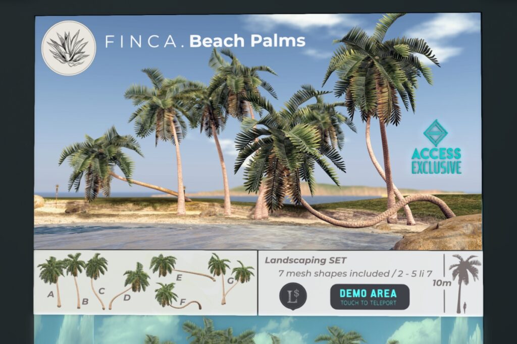 Beach Palms Decor, L$499 FP