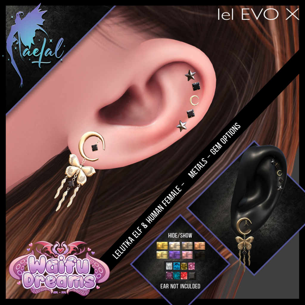 Butterfly Hisses - EvoX Female