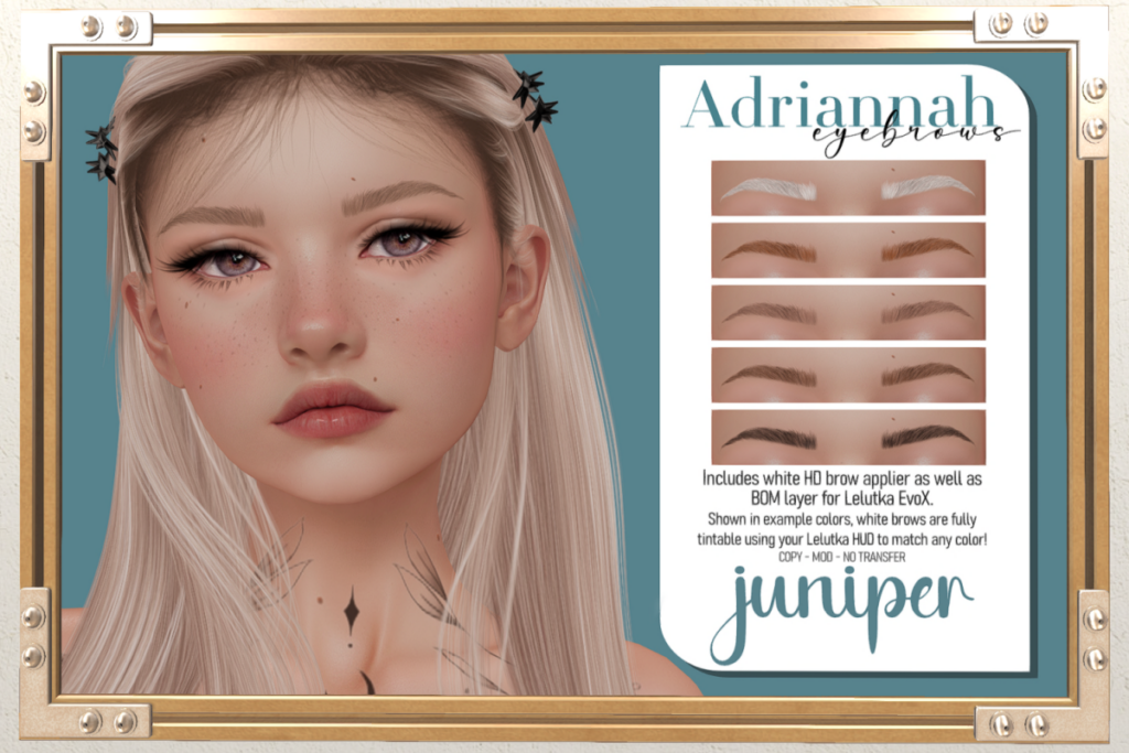 Adriannah Eyebrows - EvoX, L$195