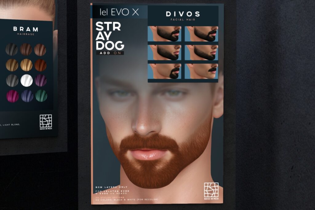 Divos Facial Hair - EvoX, L$300