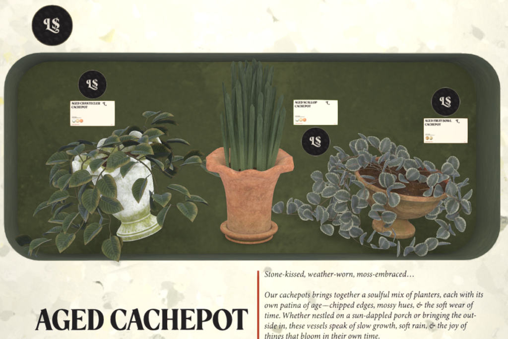 Potted Aged Cachepots, L$189 each/L$399 FP