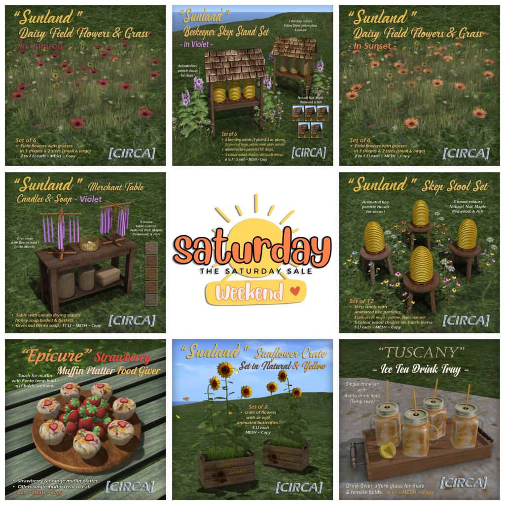 Daisy Field Flower Set