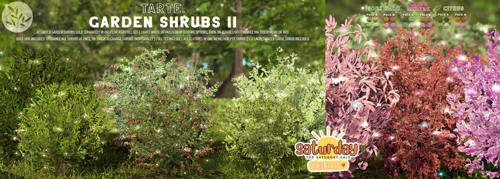 Garden Shrubs II