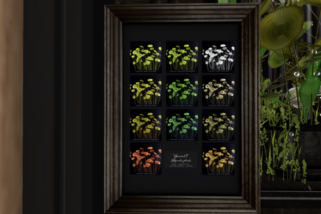 Seaweed, L$269 each/L$999 FP