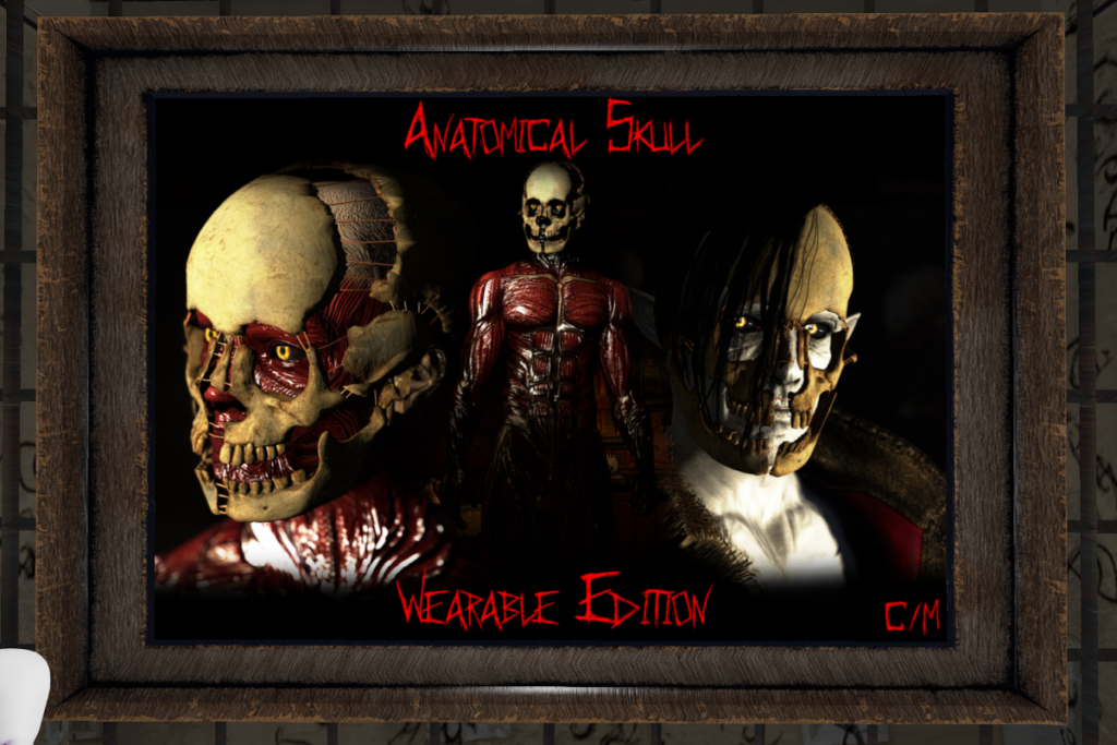 Anatomical Skull Weareable Edition, L$199