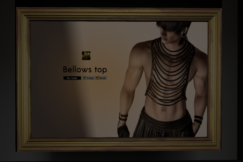 Bellows Top - Jake/Legacy, L$230 each/L$550 FP