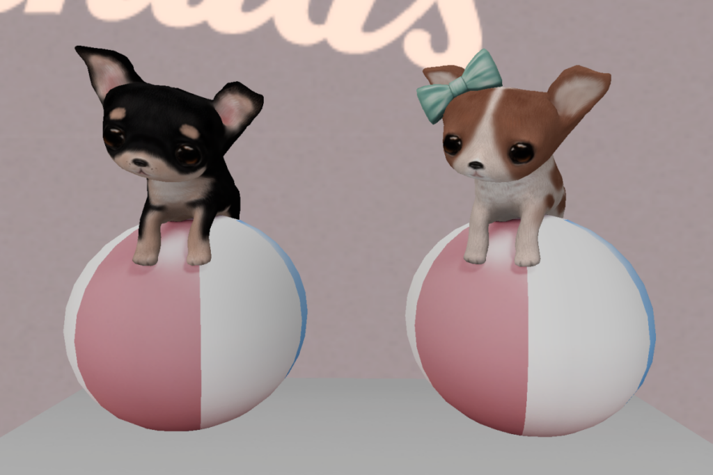 Chihuahua - Beachballin	&lt;a href=&quot;http://maps.secondlife.com/secondlife/Eternal%20Dream/15/91/21&quot; target=&quot;_blank&quot;&gt;Teleport&lt;/a&gt;