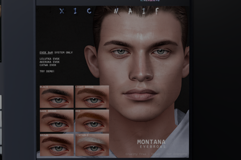 Montana Eyebrows - AK Evox/Catwa EvoX/EvoX, L$199