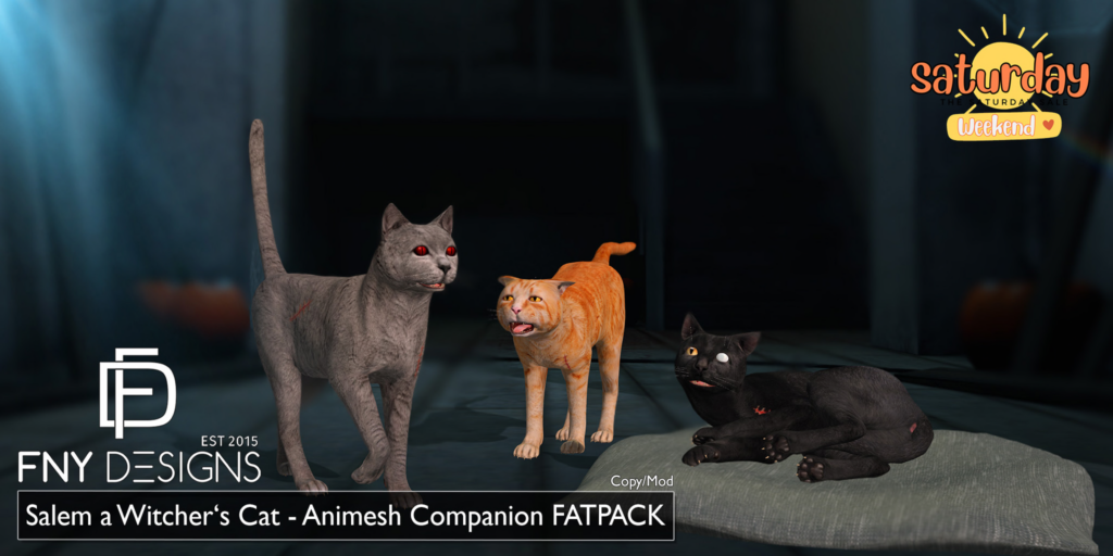 Salem a Witcher&#039;s Cat Animesh Companion	&lt;a href=&quot;http://maps.secondlife.com/secondlife/Fallen%20New%20York/128/106/2236&quot; target=&quot;_blank&quot;&gt;Teleport&lt;/a&gt;