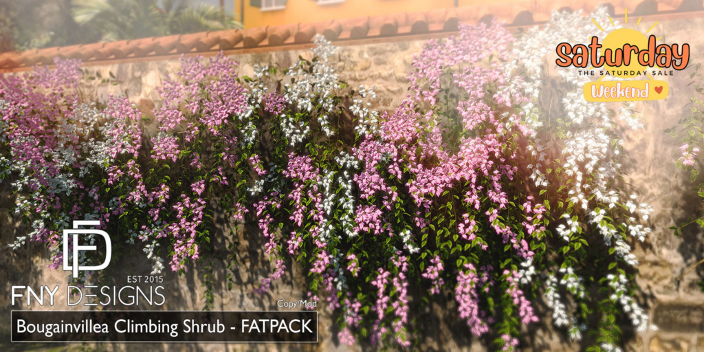 Bougainvillea Climbing Shrub	&lt;a href=&quot;http://maps.secondlife.com/secondlife/Fallen%20New%20York/128/106/2237&quot; target=&quot;_blank&quot;&gt;Teleport&lt;/a&gt;