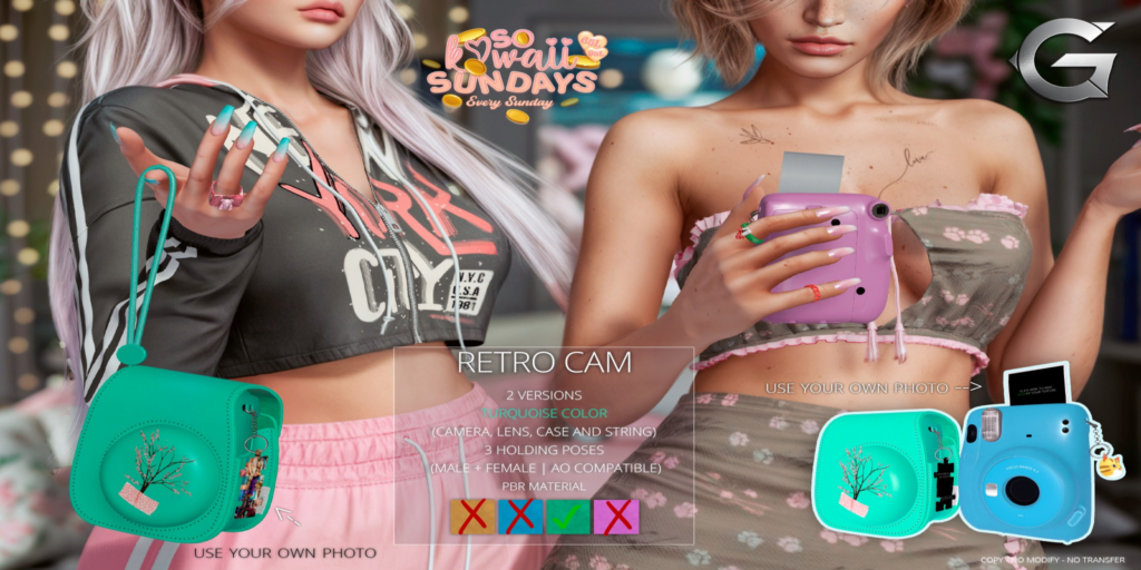 Retro Cam Holdable	&lt;a href=&quot;http://maps.secondlife.com/secondlife/Spruce%20Peak/211/193/24&quot; target=&quot;_blank&quot;&gt;Teleport&lt;/a&gt;