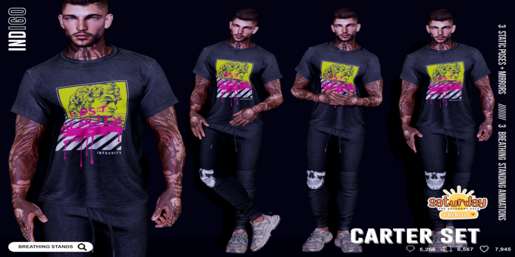 Carter Poses	&lt;a href=&quot;http://maps.secondlife.com/secondlife/Palmetta/140/32/1698&quot; target=&quot;_blank&quot;&gt;Teleport&lt;/a&gt;